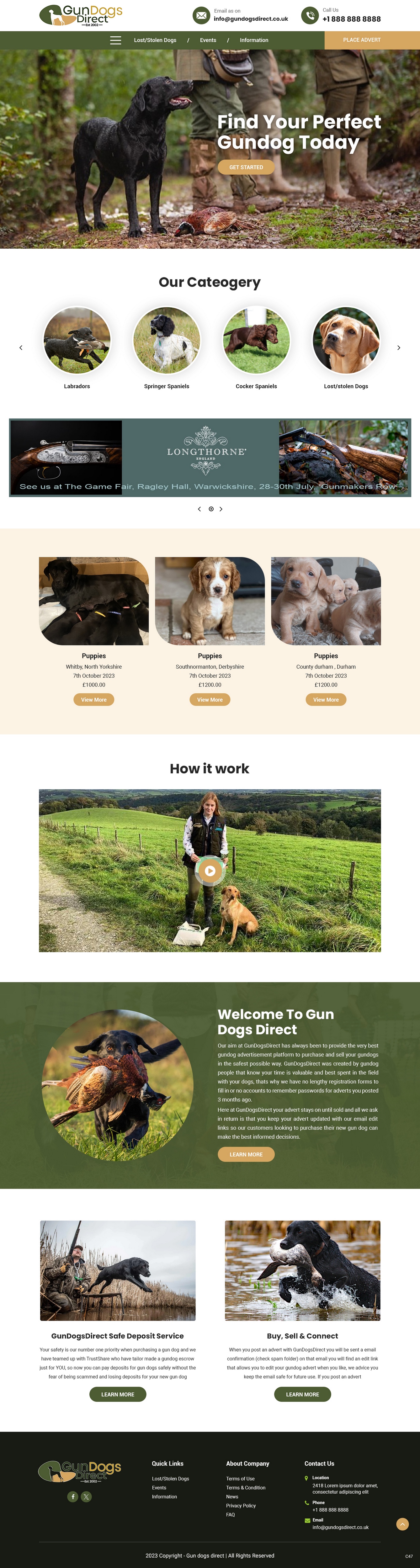 Diseño Web por pb para este proyecto | Diseño #31476980