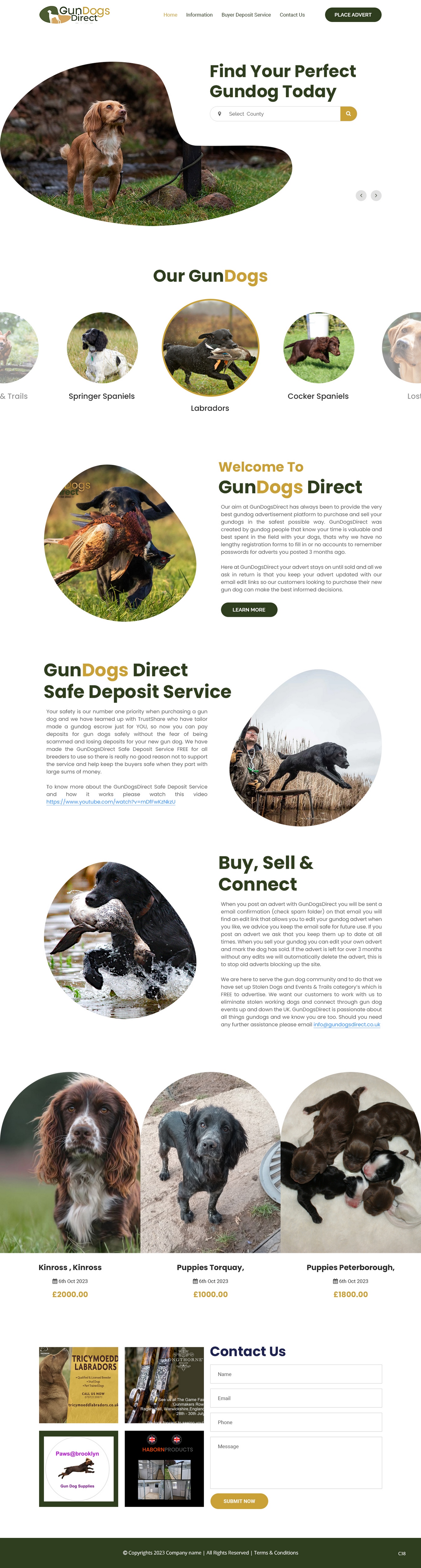 Diseño Web por pb para este proyecto | Diseño #31476983