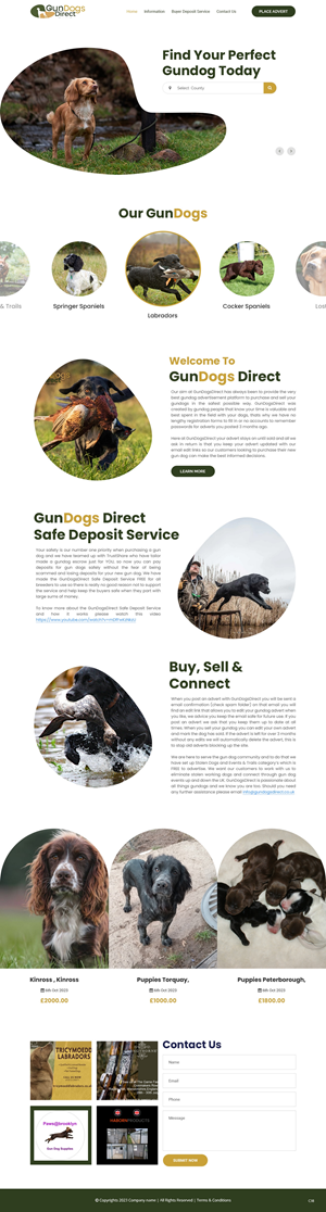 Diseño Web por pb para este proyecto | Diseño: #31476983