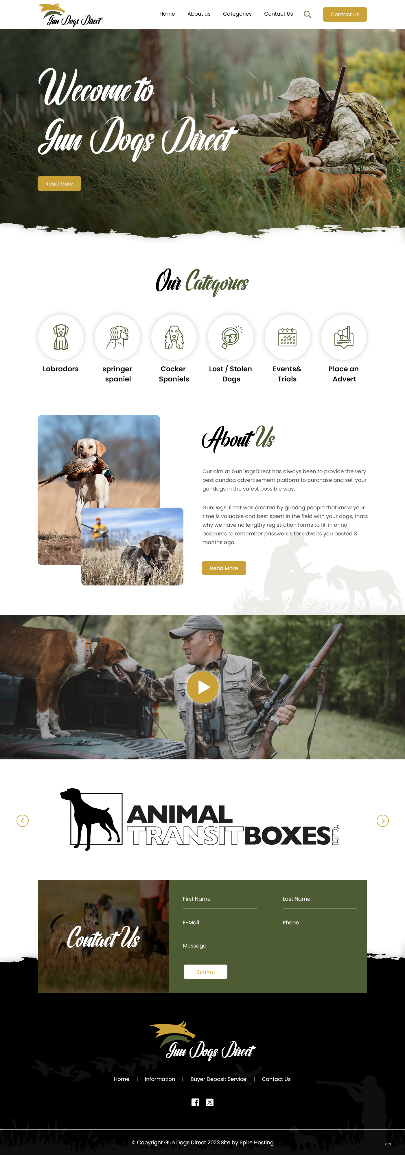 Diseño Web por pb para este proyecto | Diseño #31476987