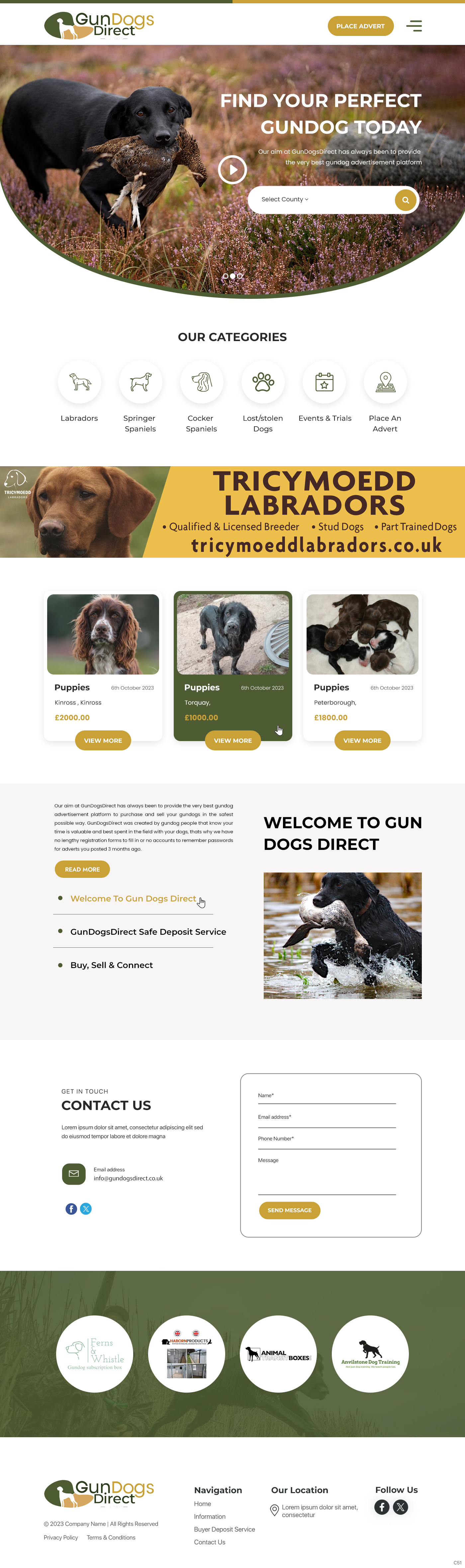 Diseño Web por pb para este proyecto | Diseño #31476988