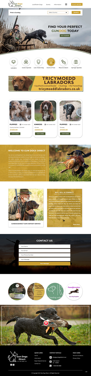 Diseño Web por pb para este proyecto | Diseño: #31476995