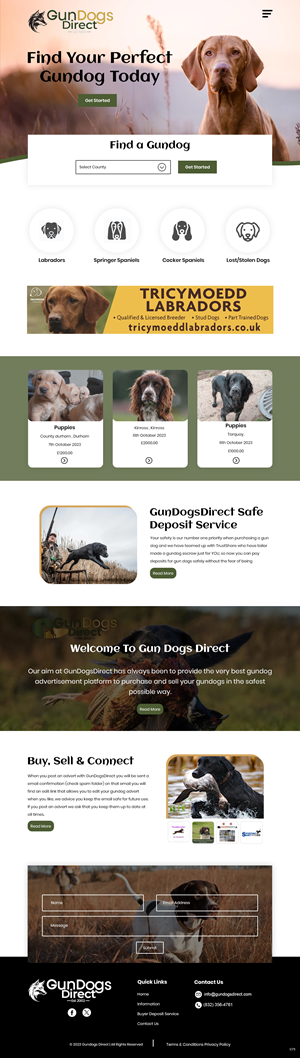 Diseño Web por pb para este proyecto | Diseño: #31476997