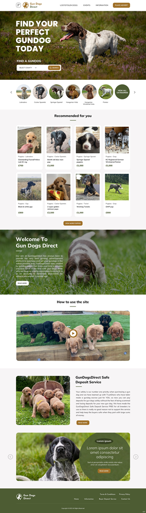Diseño Web por pb para este proyecto | Diseño: #31476998