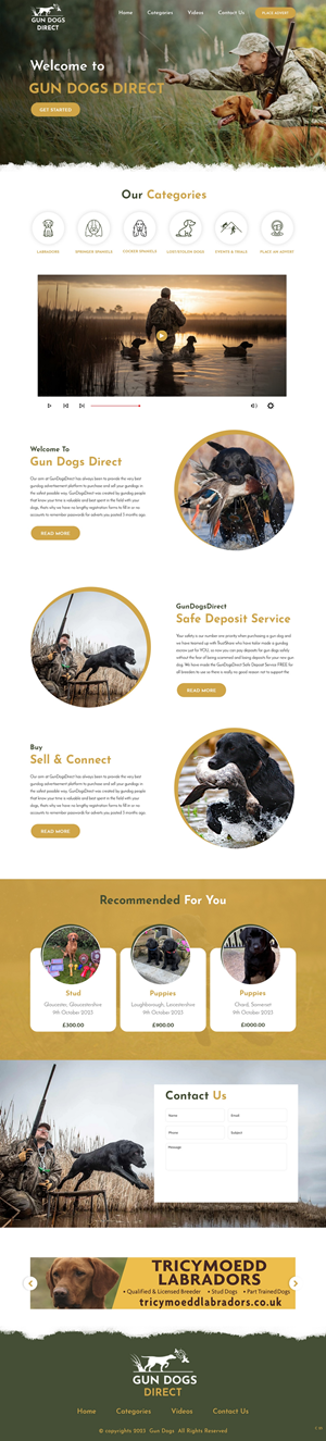 Diseño Web por pb para este proyecto | Diseño: #31489105