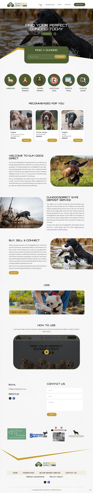 Diseño Web por pb para este proyecto | Diseño: #31489106