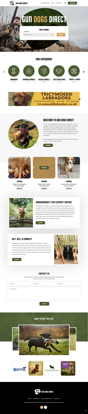 Diseño Web por pb para este proyecto | Diseño: #31489107