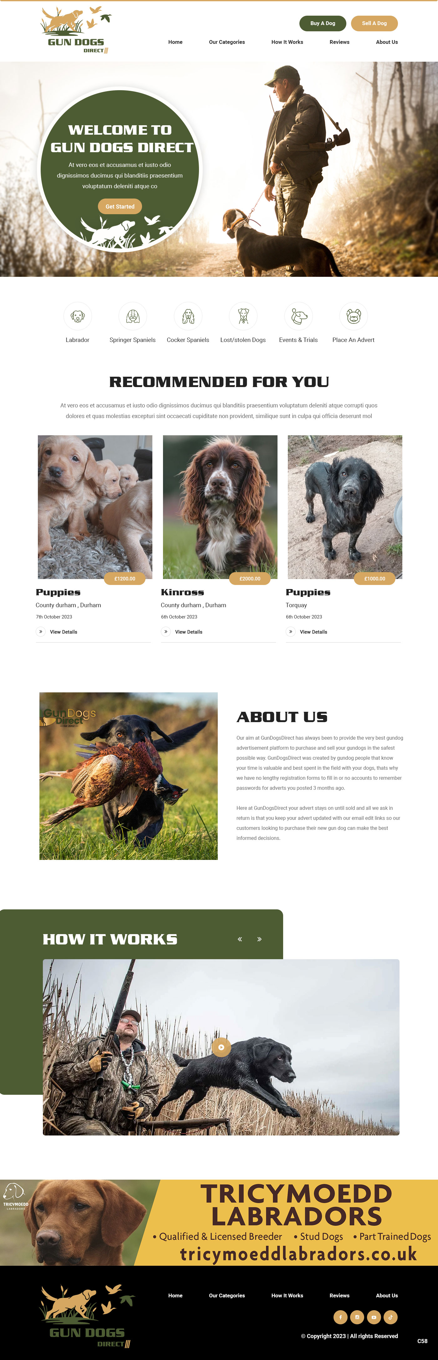 Web Design by pb for this project | Design #31489111