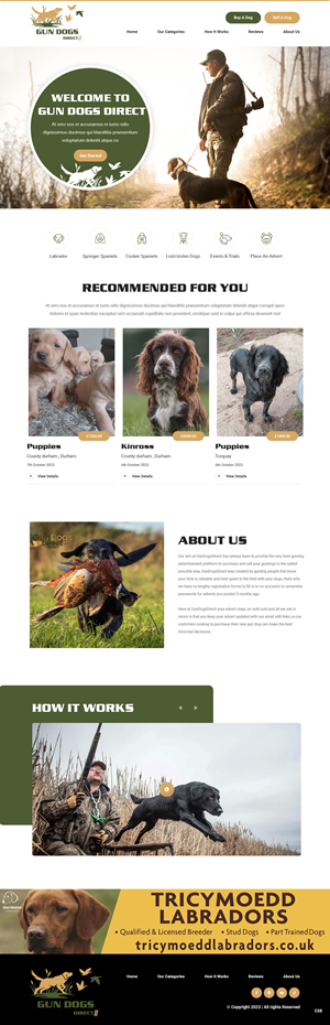 Diseño Web por pb para este proyecto | Diseño: #31489111