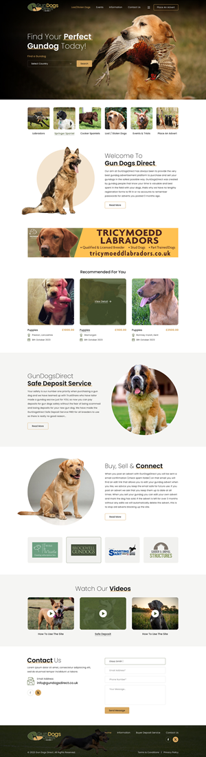 Diseño Web por Sbss para este proyecto | Diseño: #31487684