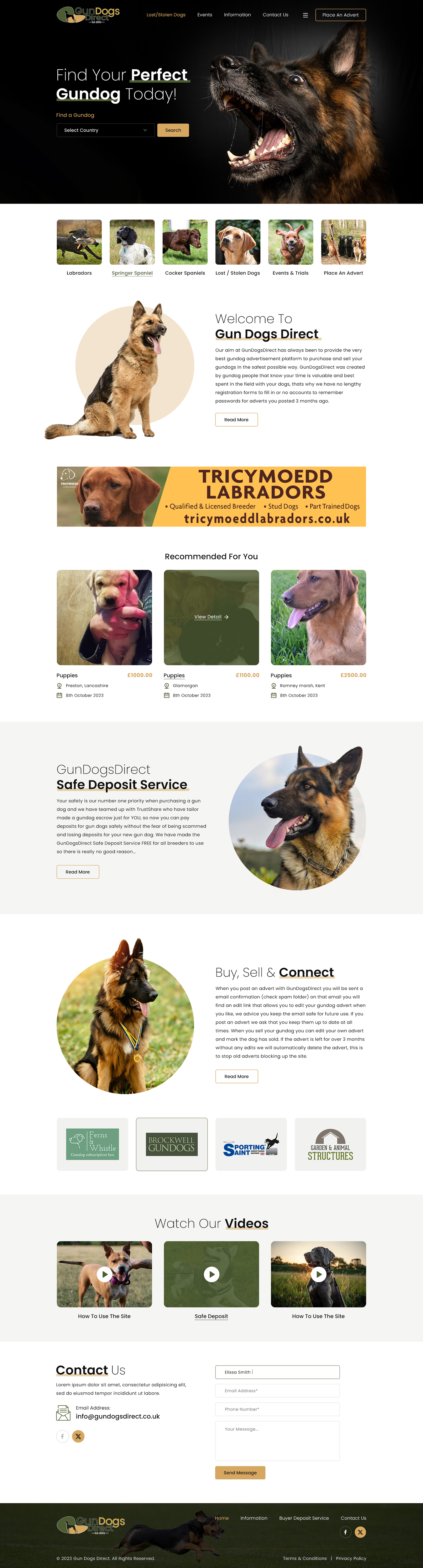 Diseño Web por Sbss para este proyecto | Diseño #31487685