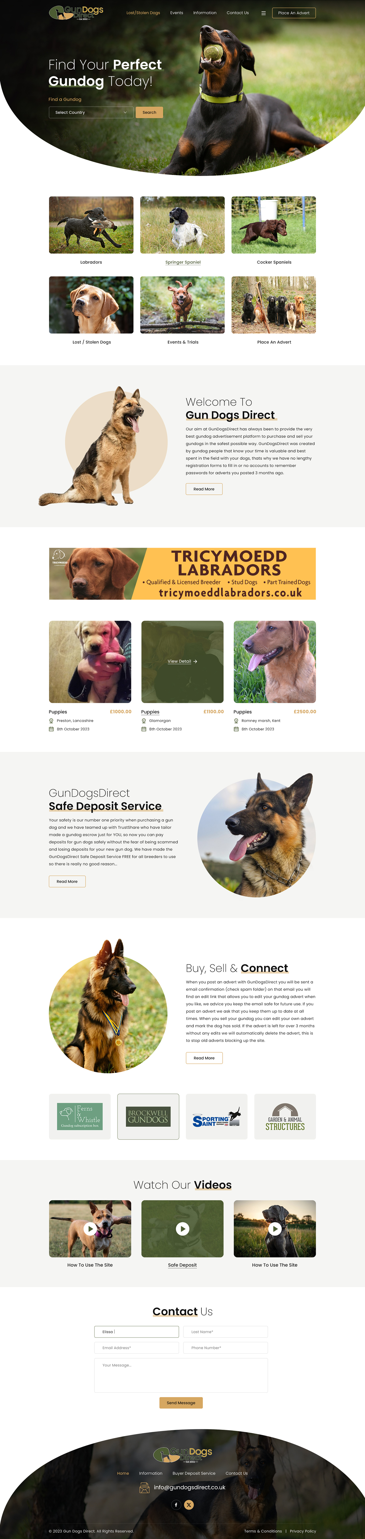 Diseño Web por Sbss para este proyecto | Diseño #31487687