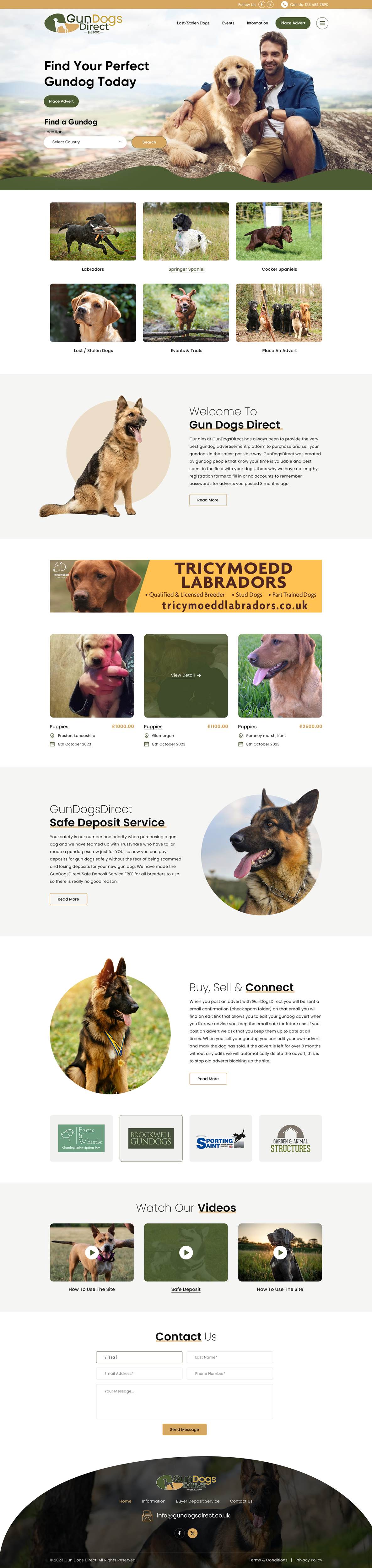Diseño Web por Sbss para este proyecto | Diseño #31495884