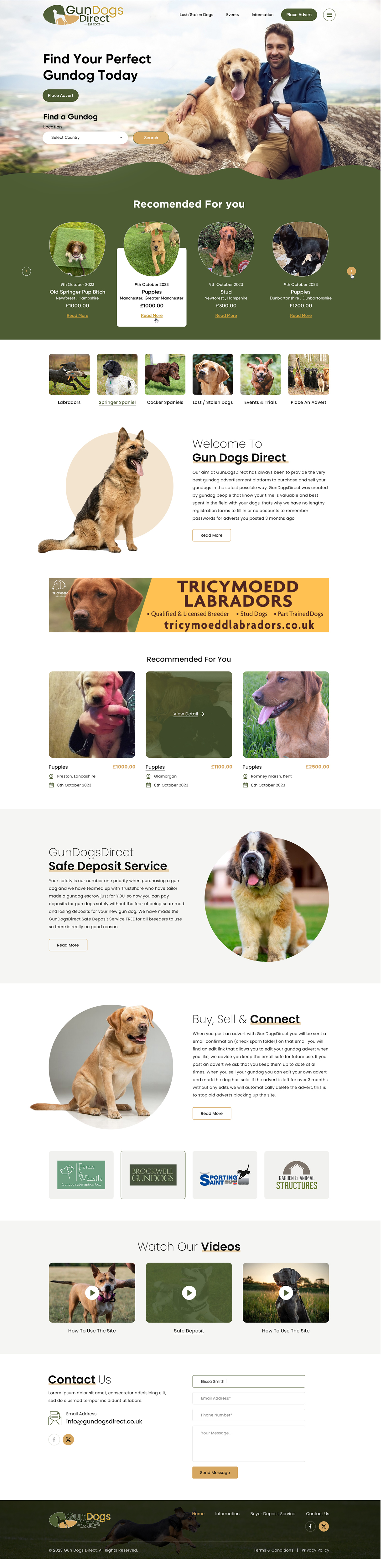 Diseño Web por Sbss para este proyecto | Diseño #31495885
