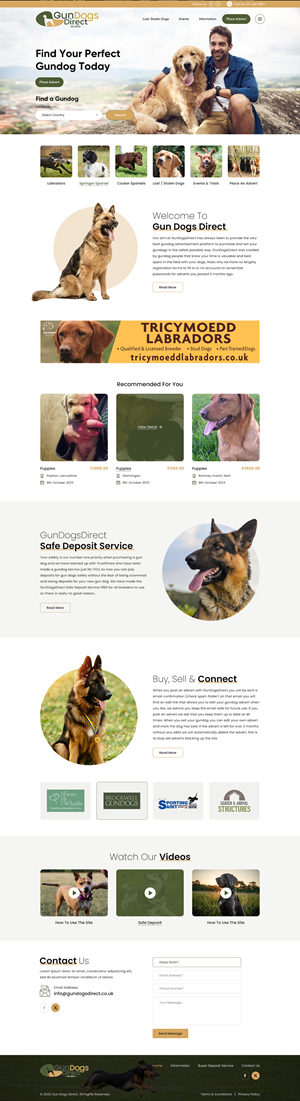Diseño Web por Sbss para este proyecto | Diseño: #31495886