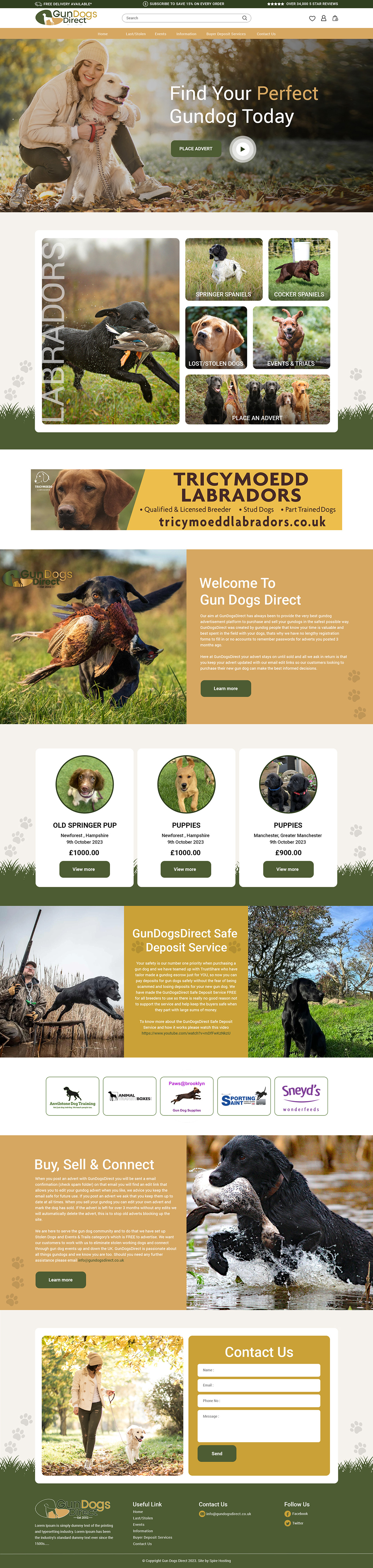 Diseño Web por creative.bugs para este proyecto | Diseño #31487244
