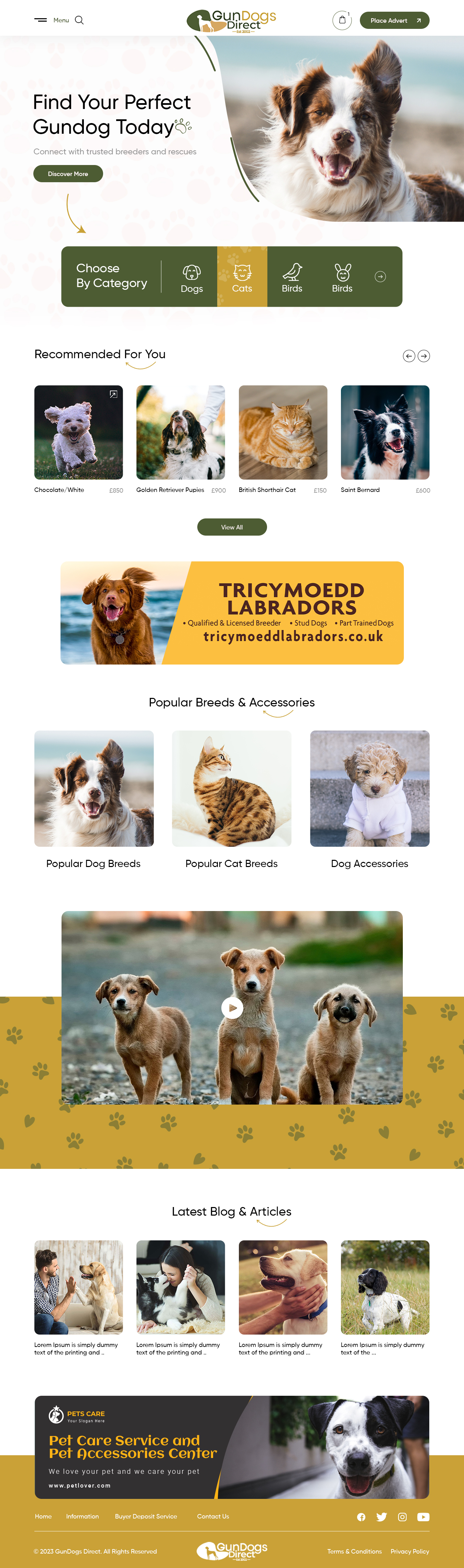 Web Design by nzdesigners for this project | Design #31487968