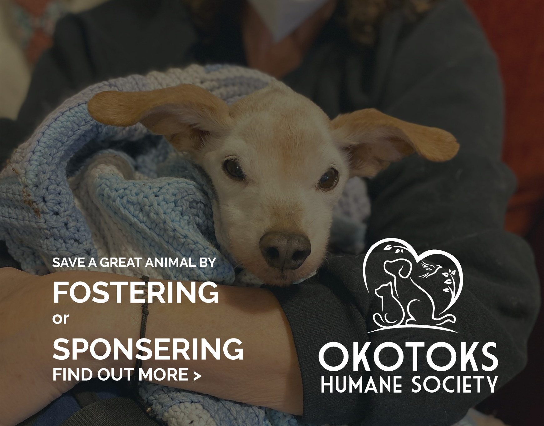 Logo Design by mikeeeey for this project | Design #31474834