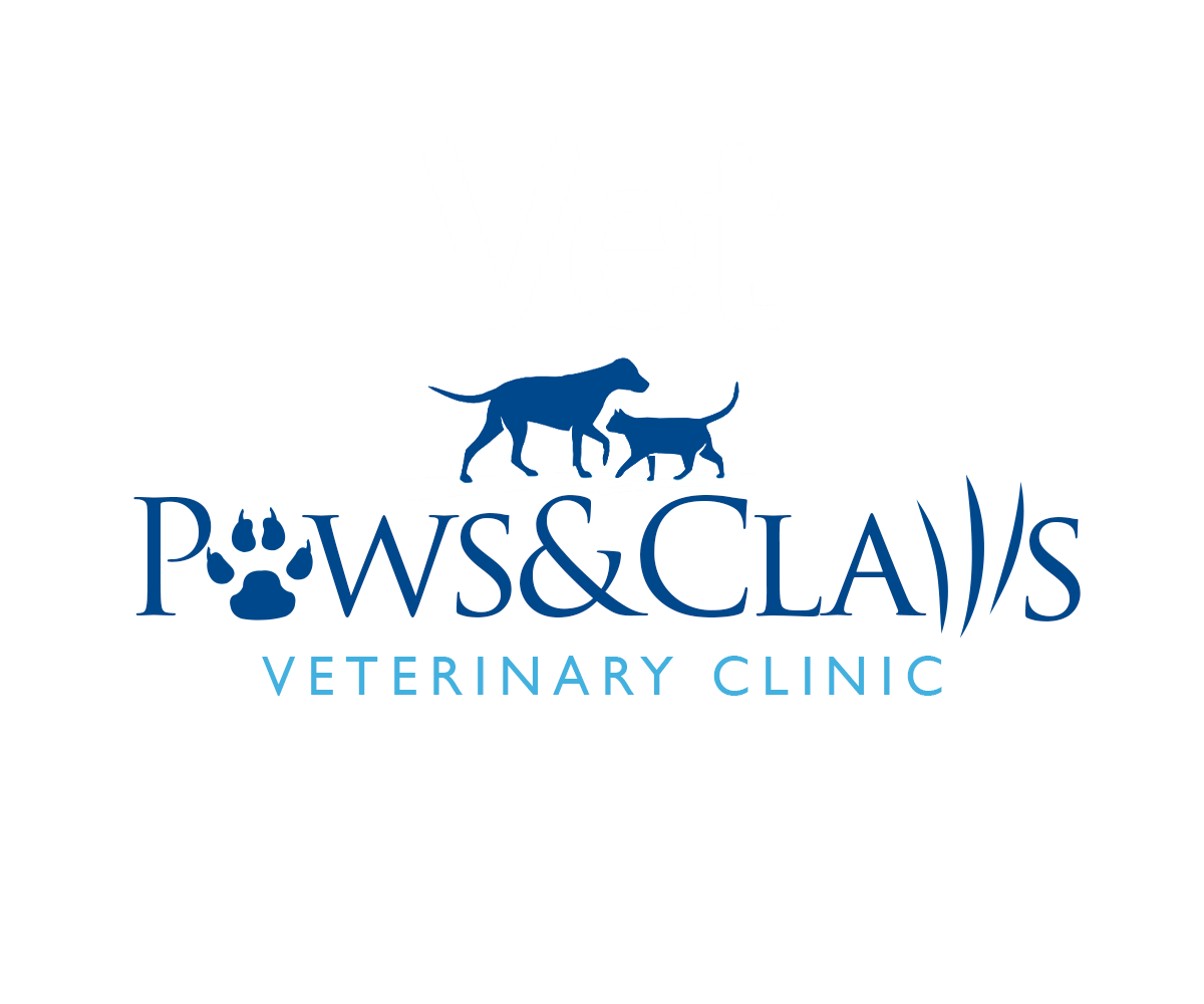 Logo Design by Andrés Sebastián for this project | Design #31503603