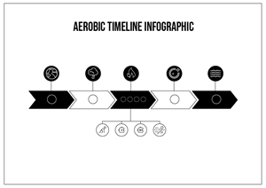 Infographic Design by Ngoc Pen