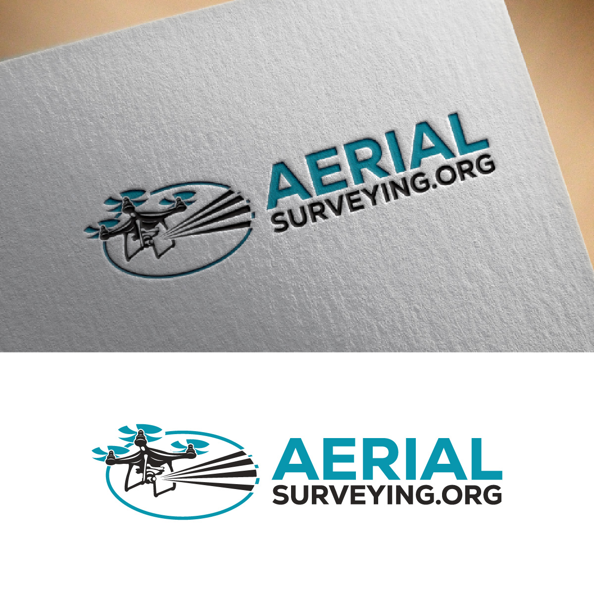 Logo Design by fly  design for this project | Design #31486361