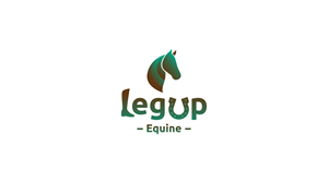 Diseño de Logo por gfx7 para B & A Health Services, PLLC | Diseño: #31540600