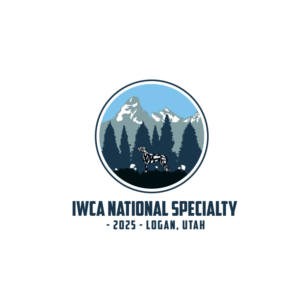 Logo Design by Ansh Design for this project | Design #31496718