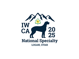 Logo Design by BNdesigner for this project | Design: #31498991