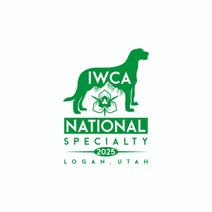 Logo Design by Ashani Bhattacharya for this project | Design #31492982