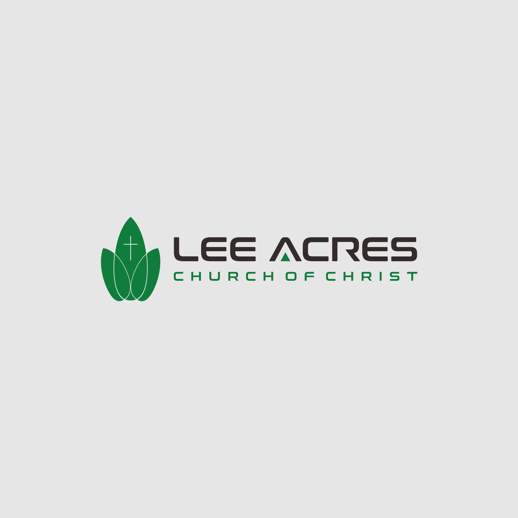 Logo Design by AQILA ™ for this project | Design #31495357