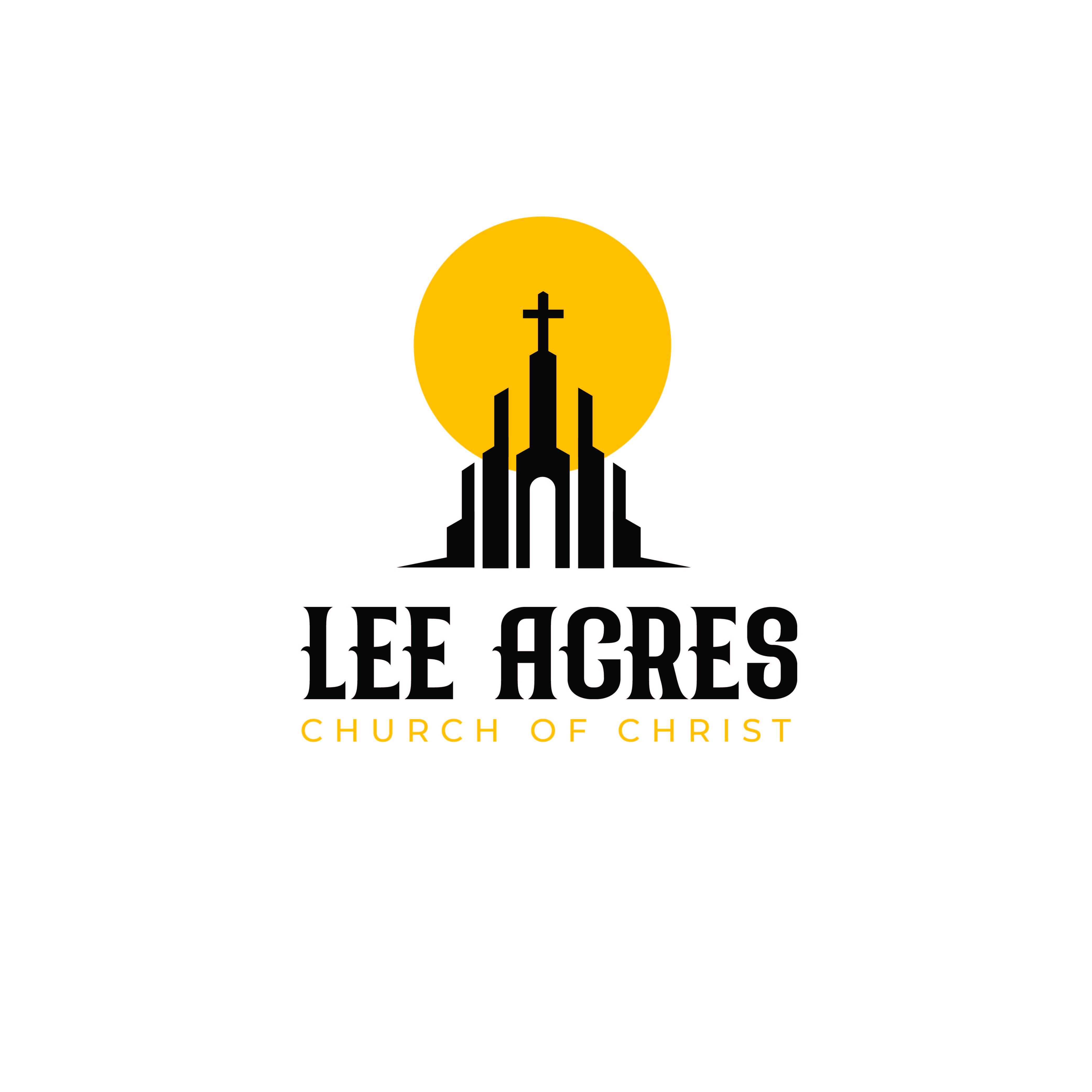 Logo Design by khizar_911 for this project | Design #31495865