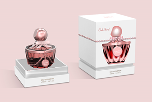 Packaging Design by tarokun for YCF Design | Design #31534473