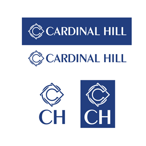 Logo Design by KVDenis