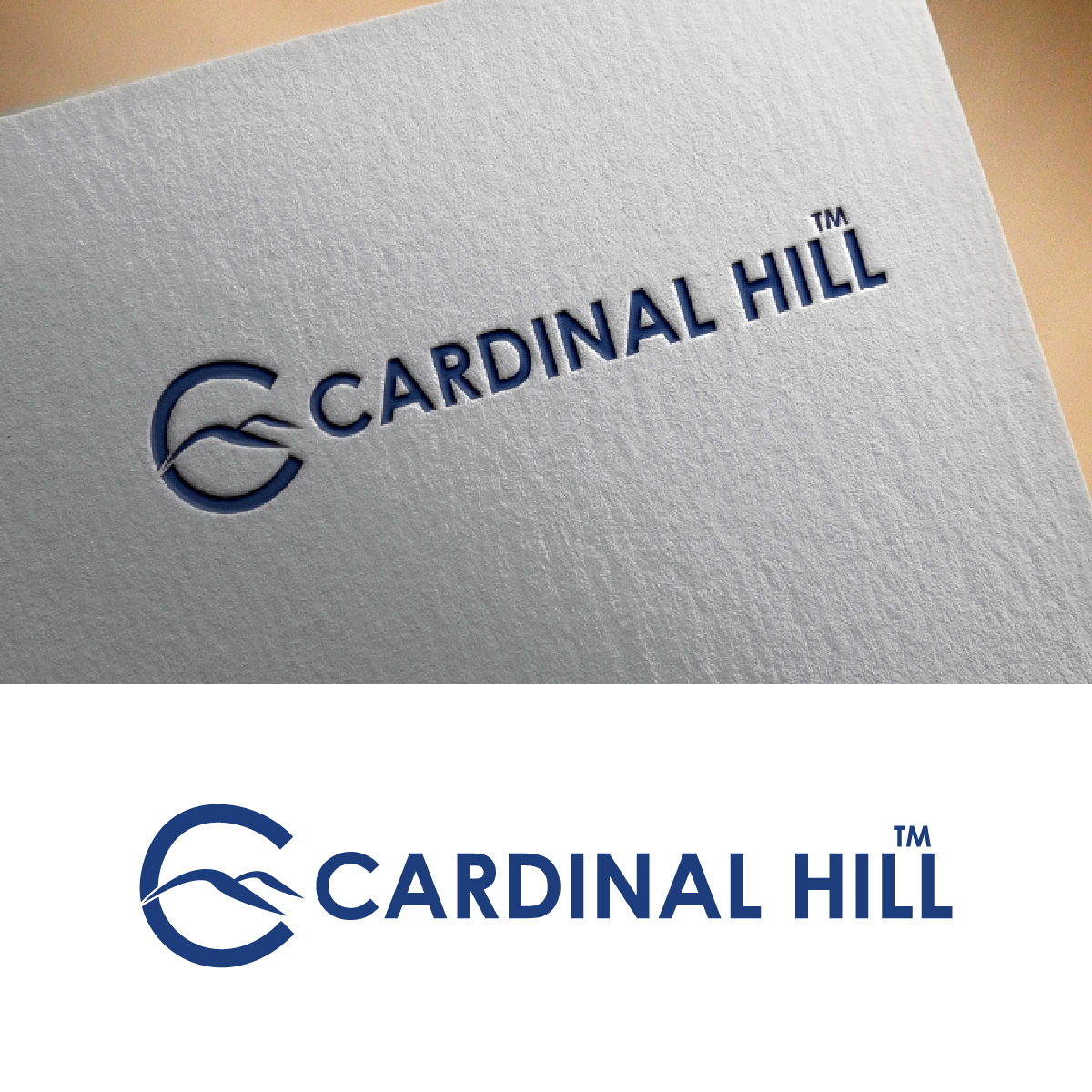 Diseño de Logo por fly  design para este proyecto | Diseño #31511443