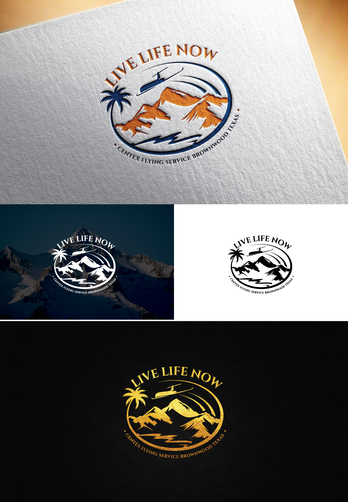 Logo Design by Logo Stock for CENTEX FLYING SERVICE | Design #31519435