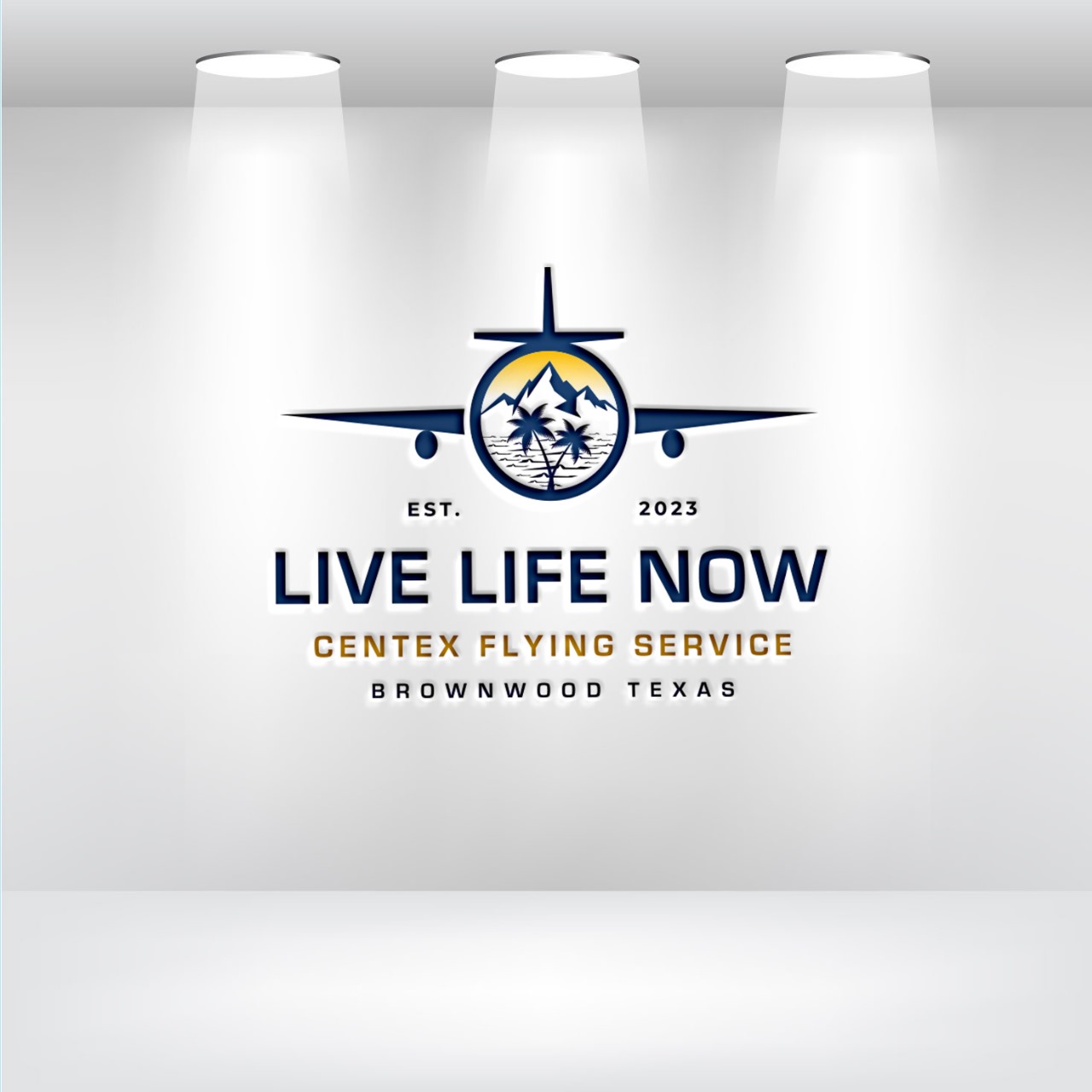 Logo Design by Graphic4489 for CENTEX FLYING SERVICE | Design #31554529