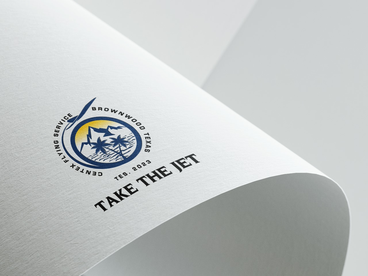 Logo Design by Graphic4489 for CENTEX FLYING SERVICE | Design #31555295