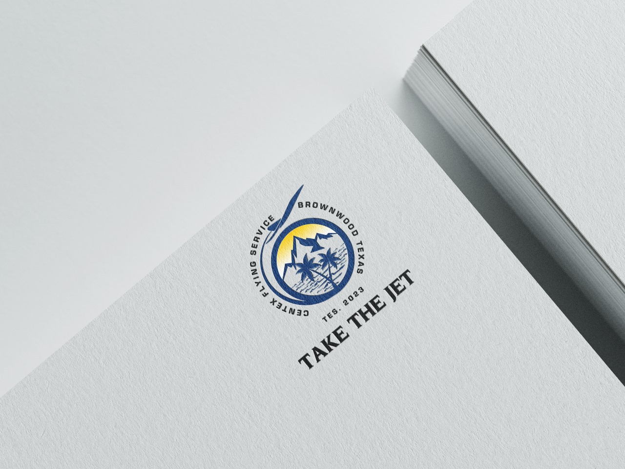 Logo Design by Graphic4489 for CENTEX FLYING SERVICE | Design #31555296