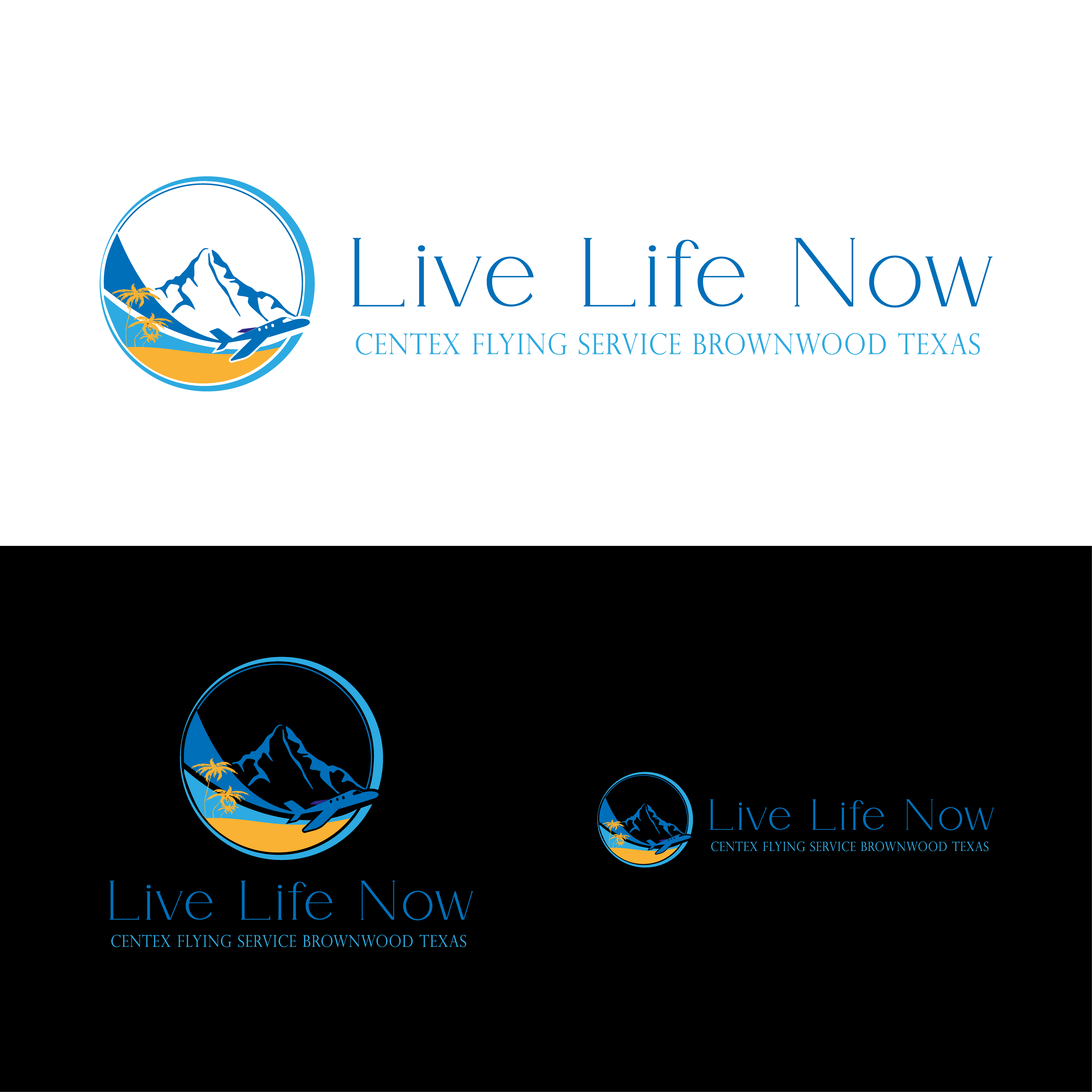 Diseño de Logo por pyramids para CENTEX FLYING SERVICE | Diseño #31517577