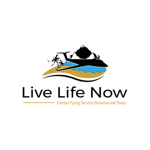 Logo Design by COR for CENTEX FLYING SERVICE | Design: #31527063