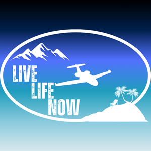 Logo Design by Chas Designs for CENTEX FLYING SERVICE | Design: #31560553