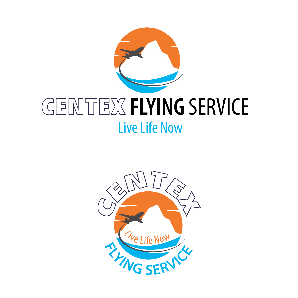 Logo-Design von KVDenis für CENTEX FLYING SERVICE | Design #31524700