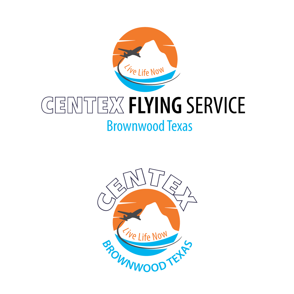 Logo-Design von KVDenis für CENTEX FLYING SERVICE | Design #31525897