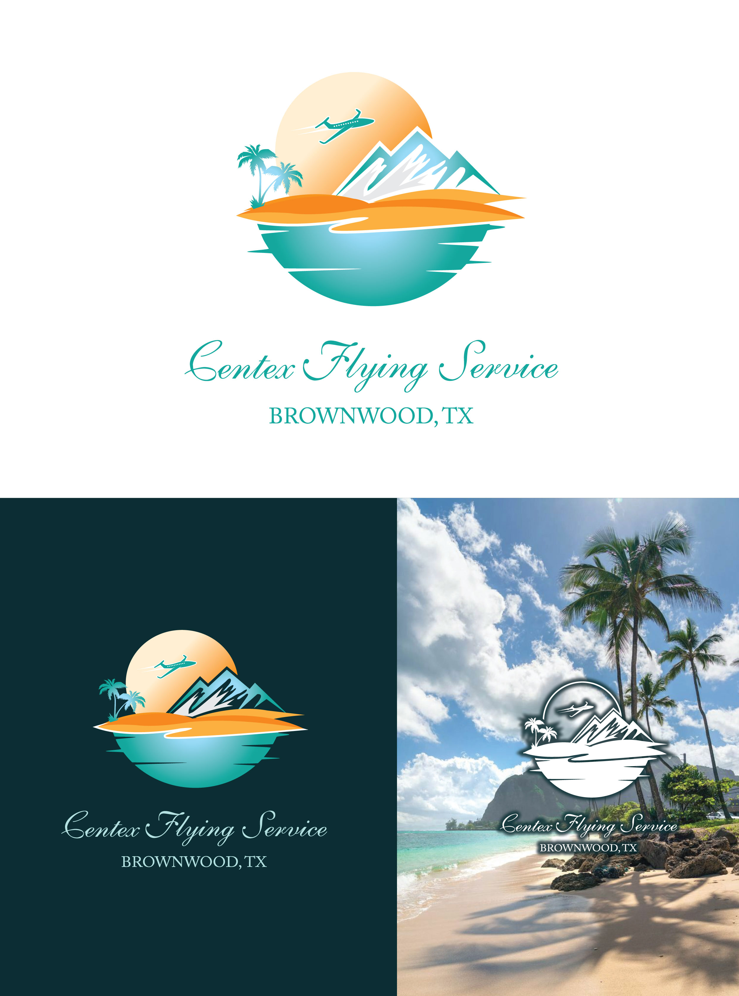 Diseño de Logo por Wonderful design para CENTEX FLYING SERVICE | Diseño #31524778