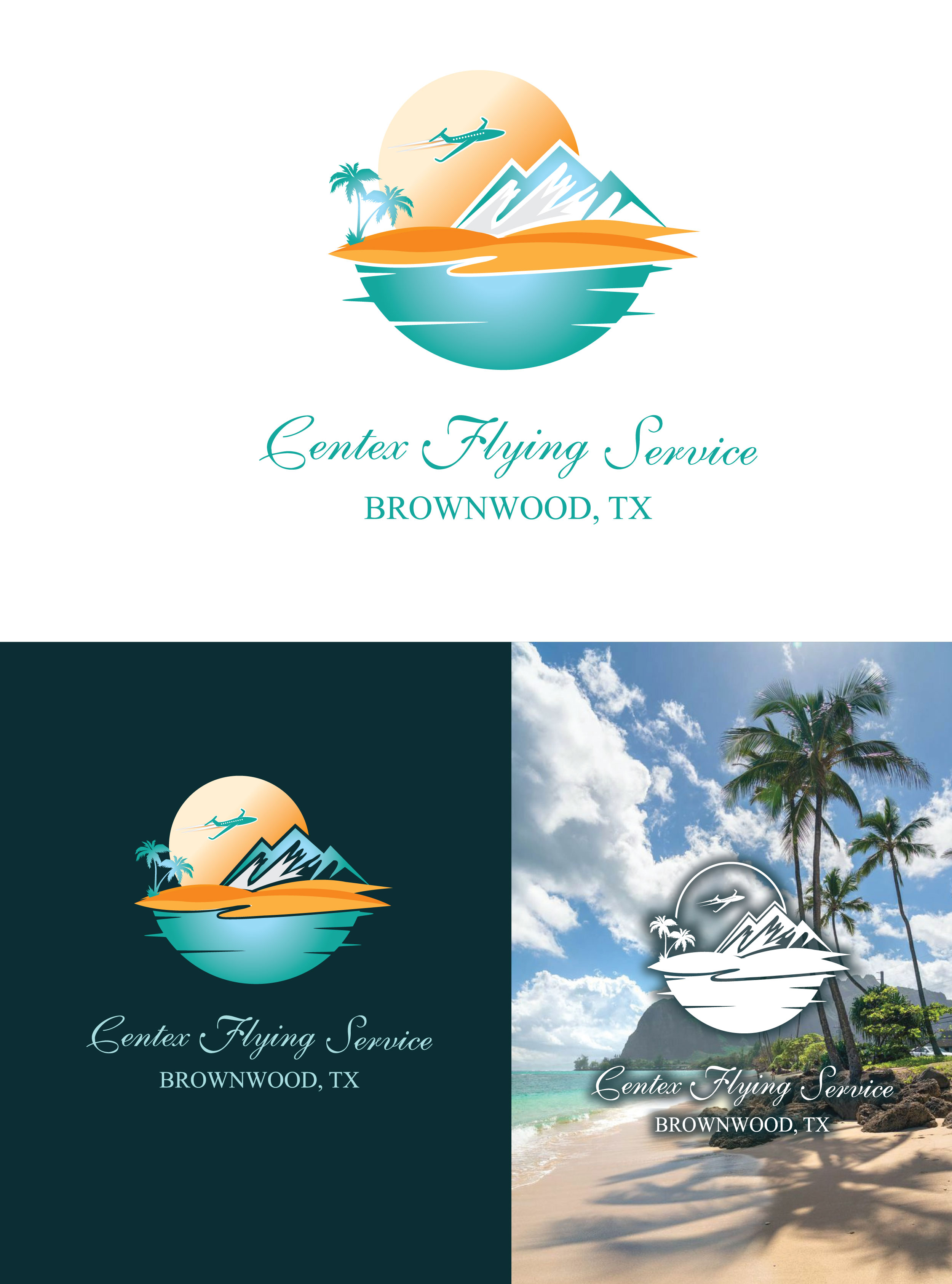 Design de Logo par Wonderful design pour CENTEX FLYING SERVICE | Design #31525730