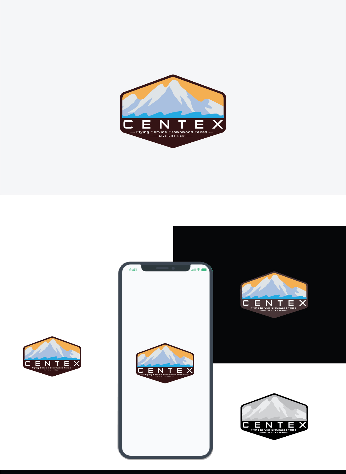 Diseño de Logo por Deziners Zone para CENTEX FLYING SERVICE | Diseño #31517331