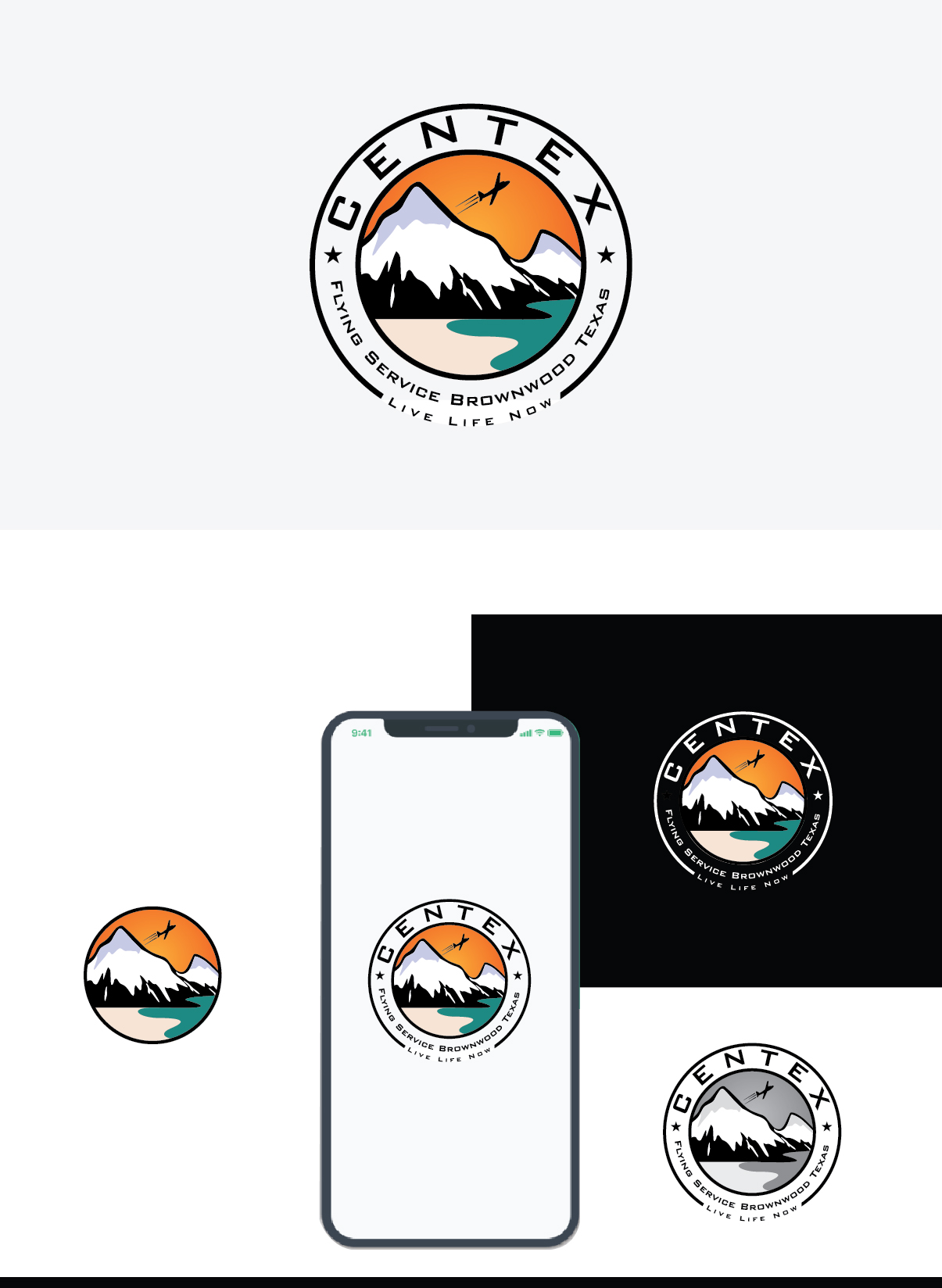 Logo-Design von Deziners Zone für CENTEX FLYING SERVICE | Design #31517332