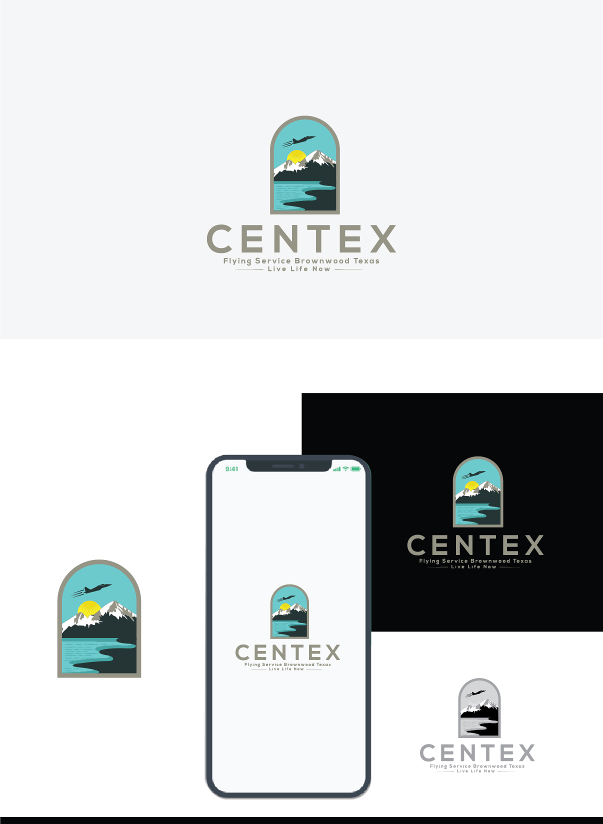 Diseño de Logo por Deziners Zone para CENTEX FLYING SERVICE | Diseño #31517333