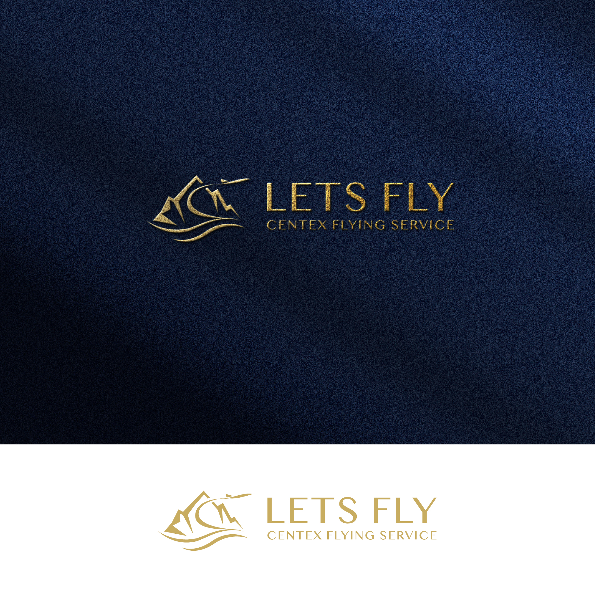 Diseño de Logo por zeykan para CENTEX FLYING SERVICE | Diseño #31543245