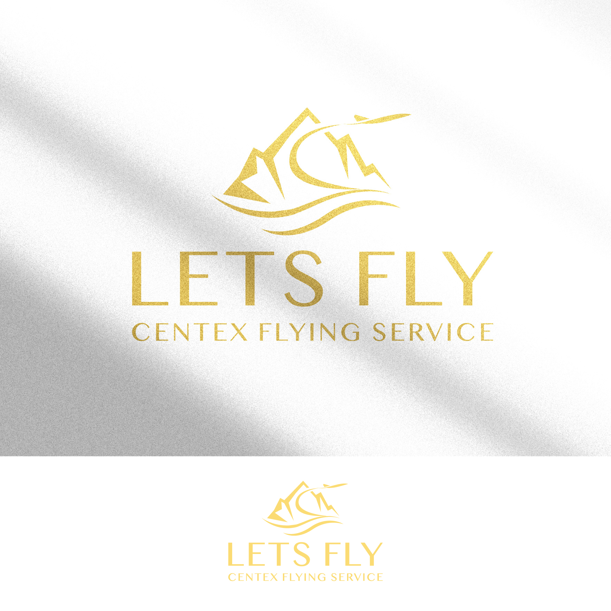 Diseño de Logo por zeykan para CENTEX FLYING SERVICE | Diseño #31543334